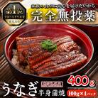鹿児島県産うなぎ半身カットセット (100g×4パック、タレ・山椒付き)
