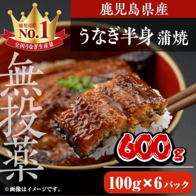 鹿児島県産うなぎ半身カットセット (100g×6パック、タレ・山椒付き)