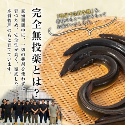鹿児島県産うなぎ半身カットセット (100g×6パック、タレ・山椒付き)