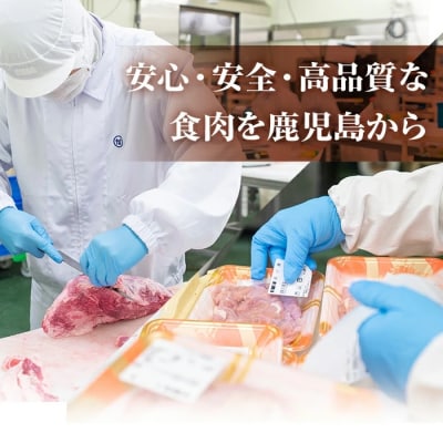 【3回定期便】<黒毛和牛を毎月お届け!>鹿児島県産黒毛和牛定期便 (合計4.8kg) 