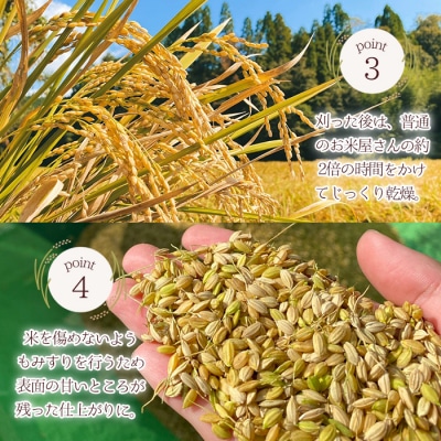 【2026年10月中旬頃から収穫次第順次発送予定】柏木さんこだわりのうまSoo米(5㎏)