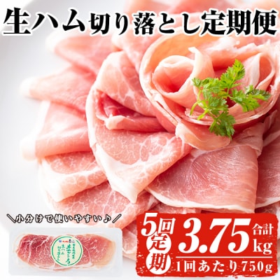 【5回定期】生ハム切り落とし75g×10P×5回(合計3.75㎏)