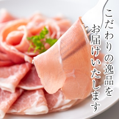 【5回定期】生ハム切り落とし60g×10P×5回(合計3㎏)