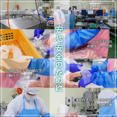  鹿児島県産豚ミンチ(200g×10P)