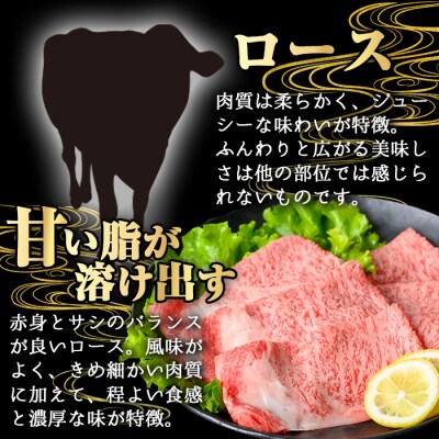 鹿児島県産和牛ローススライス(250g×1P)