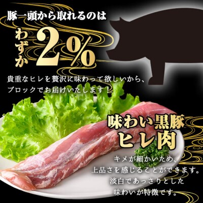 【数量限定】かごしま味わい黒豚 極みヒレ肉 (800g+ロースしゃぶしゃぶ1P) 