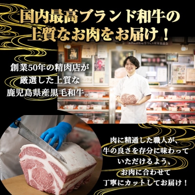 鹿児島県産和牛ヒレサイコロステーキ(200g×2P)