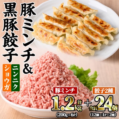 豚ミンチ6袋/黒豚餃子2種24個詰合せ