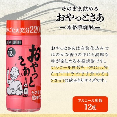 岩川醸造そのまま飲めるおやっとさあ12% 220ml セット