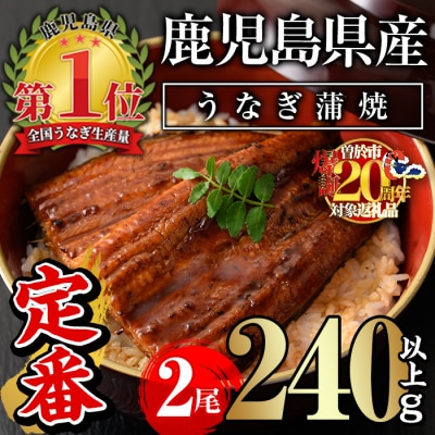 無投薬!鹿児島県産うなぎ蒲焼セット<定番>(計240g以上・ 約120g×2尾) 