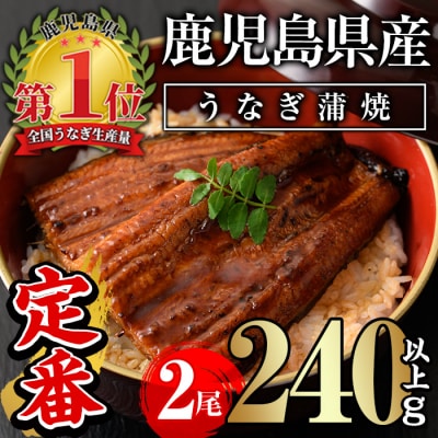 無投薬!鹿児島県産うなぎ蒲焼セット<定番>(計240g以上・ 約120g×2尾) 