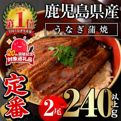 無投薬!鹿児島県産うなぎ蒲焼セット<定番>(計240g以上・ 約120g×2尾) 