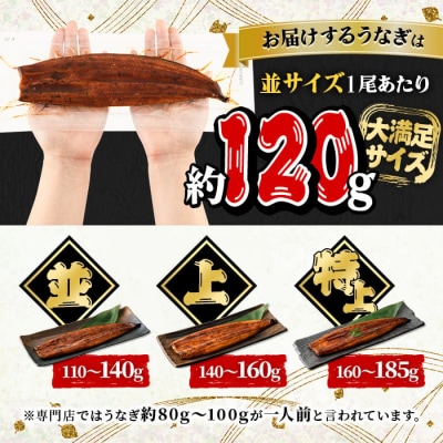 無投薬!鹿児島県産うなぎ蒲焼セット<定番>(計240g以上・ 約120g×2尾) 