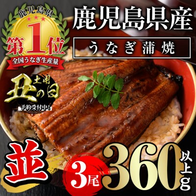 <丑の日先行受付中!>無投薬!鹿児島県産うなぎ蒲焼セット<並>(計360g以上・ 約120g×3