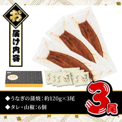 <丑の日先行受付中!>無投薬!鹿児島県産うなぎ蒲焼セット<並>(計360g以上・ 約120g×3