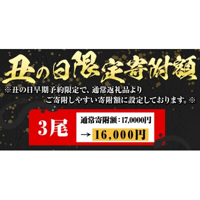 <丑の日先行受付中!>無投薬!鹿児島県産うなぎ蒲焼セット<並>(計360g以上・ 約120g×3