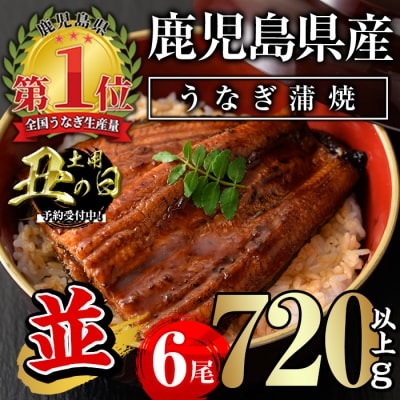 <丑の日先行受付中!>無投薬!鹿児島県産うなぎ蒲焼セット<並>(計720g以上・ 約120g×6