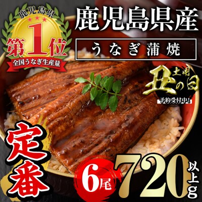 <丑の日先行受付中!>無投薬!鹿児島県産うなぎ蒲焼セット<定番>(計720g以上・ 約120g×6