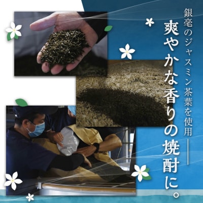 ジャスミン焼酎 茉莉花(500ml×12本)