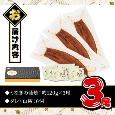 無投薬!鹿児島県産うなぎ蒲焼セット <定番>(約120g×3尾)タレ・山椒付き