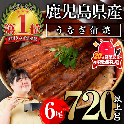 無投薬!鹿児島県産うなぎ蒲焼セット<定番>(計720g・ 約120g×6尾) タレ・山椒付き