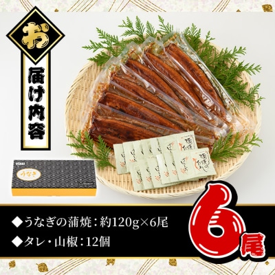 無投薬!鹿児島県産うなぎ蒲焼セット<定番>(計720g・ 約120g×6尾) タレ・山椒付き