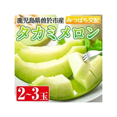 タカミメロン(2～3個入)