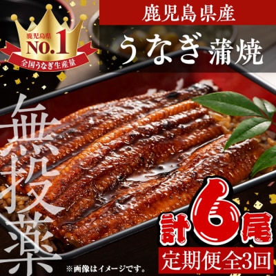 【3回定期】鹿児島県産うなぎ蒲焼2尾×3回