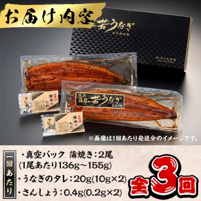 【3回定期】鹿児島県産うなぎ蒲焼2尾×3回