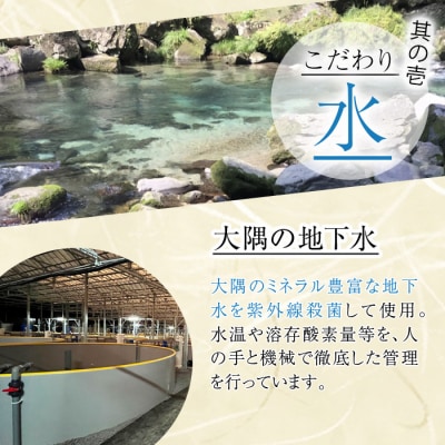 【3回定期】鹿児島県産うなぎ蒲焼2尾×3回