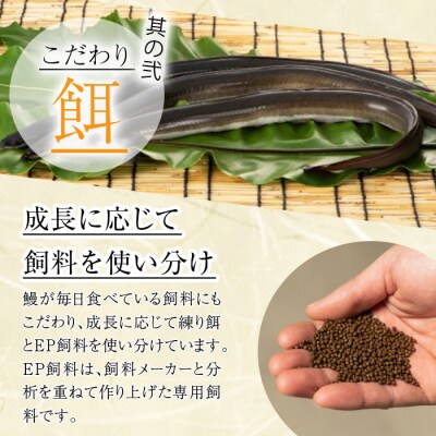 【3回定期】鹿児島県産うなぎ蒲焼2尾×3回