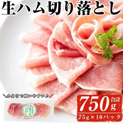 【2025年10月に発送予定】生ハム切り落とし75g×10P