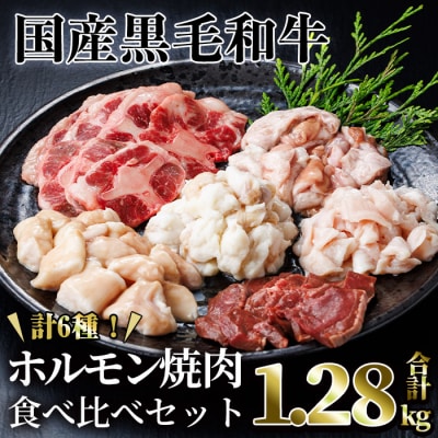 【希少ホルモンあり!】国産黒毛和牛ホルモン焼肉食べ比べセット
