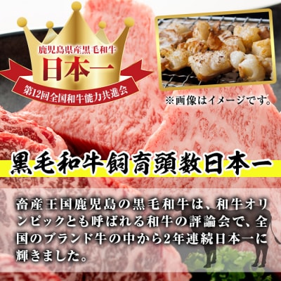 【希少ホルモンあり!】国産黒毛和牛ホルモン焼肉食べ比べセット