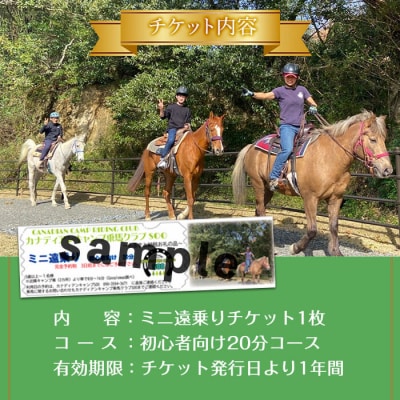 【乗馬体験チケット】ミニ遠乗り20分～初心者向け、5歳以上～(1名様)