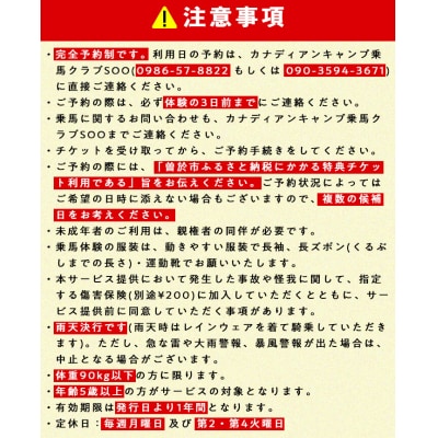【乗馬体験チケット】ミニ遠乗り20分～初心者向け、5歳以上～(1名様)