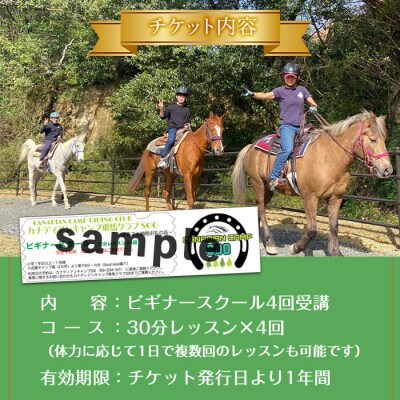 【乗馬スクールチケット】ビギナースクール～30分レッスン×3回、小学1年生以上～(1名様)
