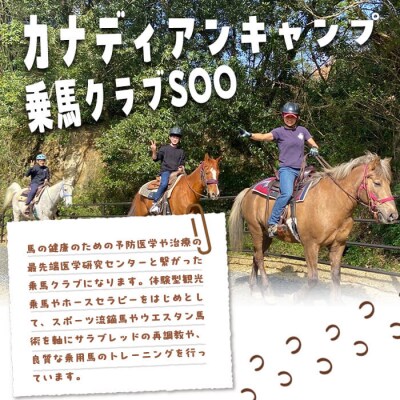 【乗馬スクールチケット】ビギナースクール～30分レッスン×3回、小学1年生以上～(1名様)