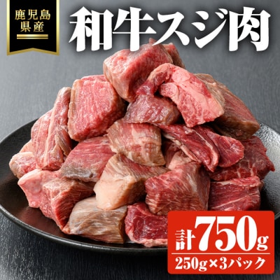 鹿児島県産和牛スジ肉計750g(250g×3P)