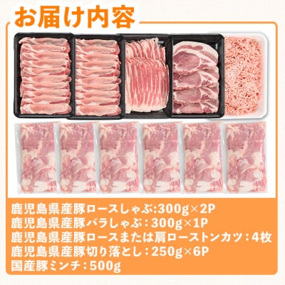 鹿児島県産豚バラエティーセット 3.3kg