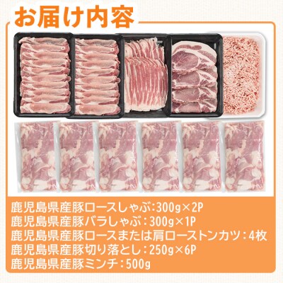 鹿児島県産豚バラエティーセット 3.3kg