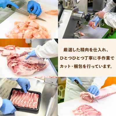 鹿児島県産豚バラエティーセット 3.3kg