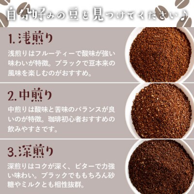 ＼ロースターがセレクト!/珈琲豆3種飲み比べセット<粉タイプ>(合計300g・各100g×3種)