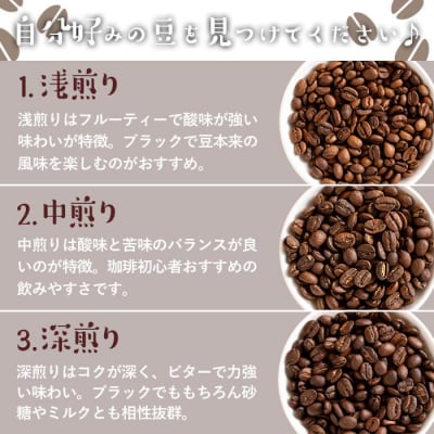 ＼ロースターがセレクト!/珈琲豆3種飲み比べセット<豆タイプ>(合計300g・各100g×3種) 