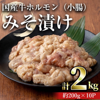 国産牛ホルモン(小腸)みそ漬け　2㎏