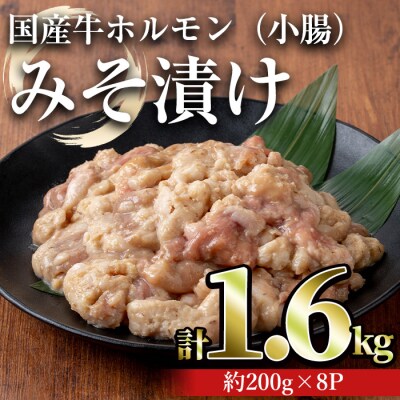 国産牛ホルモン(小腸)みそ漬け　1.6㎏