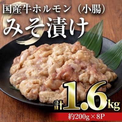 国産牛ホルモン(小腸)みそ漬け　1.6kg