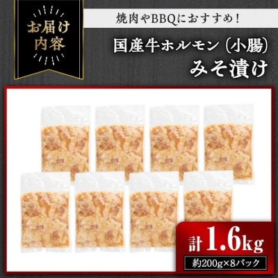国産牛ホルモン(小腸)みそ漬け　1.6kg