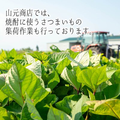 芋・麦飲み比べ3種セット (財大吉 720ml・サントリー大隅芋・麦 各900ml)