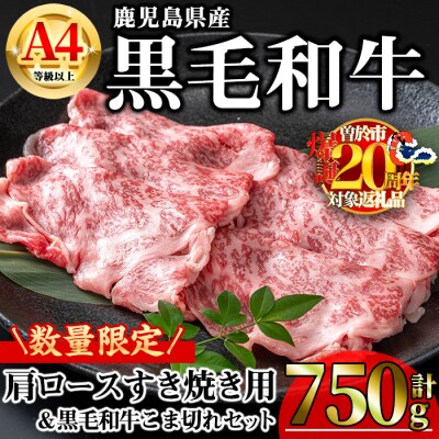 鹿児島県産黒毛和牛A4等級以上肩ロースすき焼き用合計750g・黒毛和牛こま切れ250g